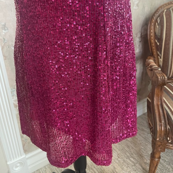 FREE PEOPLE FRIDA SEQUIN FUSCIA DRESS XS  S - Picture 4 of 5